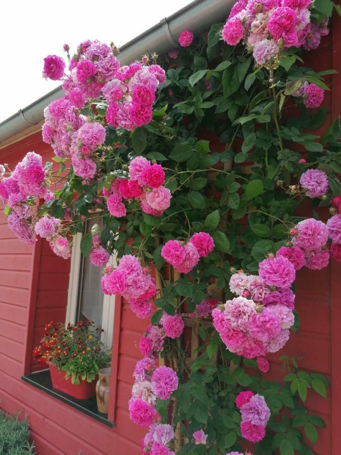 La Ferme De Kerraoul Bed & Breakfast Combrit Eksteriør bilde